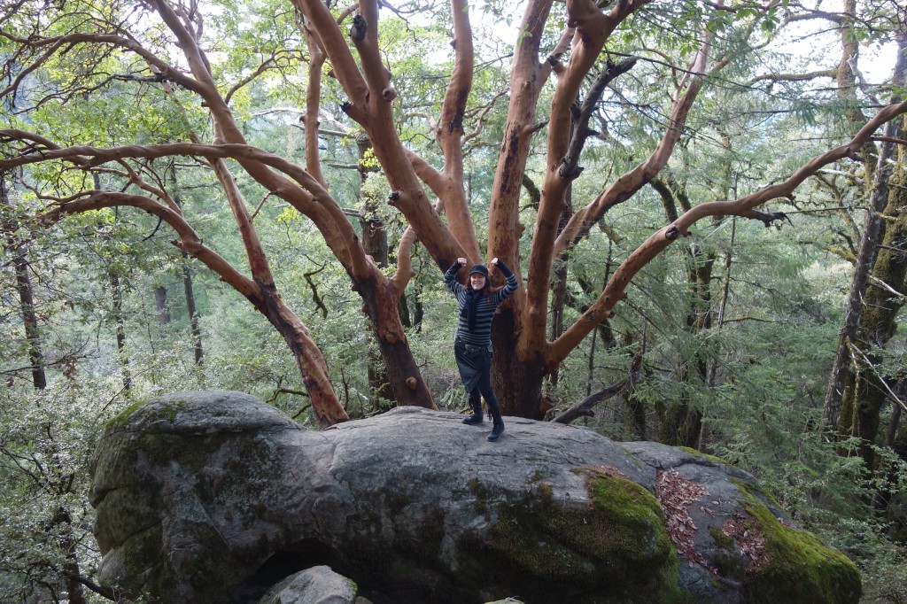 woman in dark clothing standing on a giant rock in front of a tree with many limbs reaching for the sky